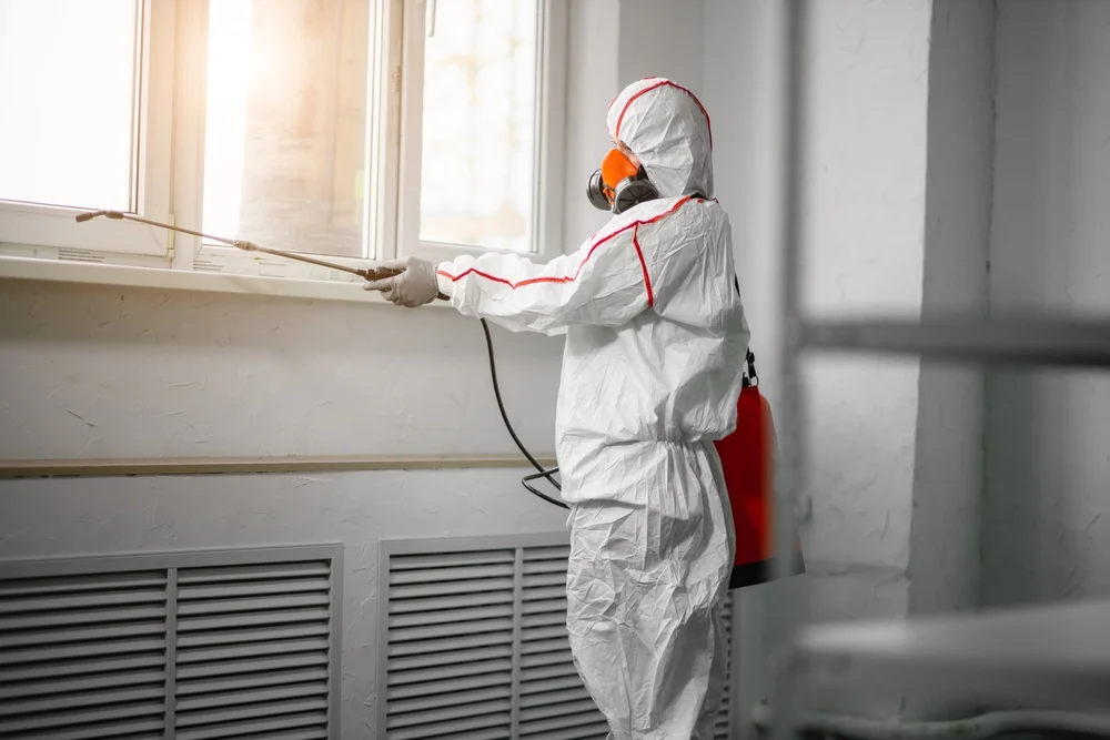 Professional mold remediation services in Wellesley Island, NY